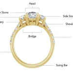 Anatomy Of A Ring