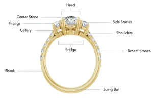 Anatomy Of A Ring