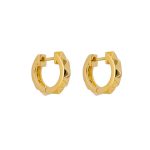 Gold Plated Hoop Earrings