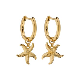 Gold Starfish Earrings