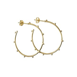 Gold Studded Hoop Earrings