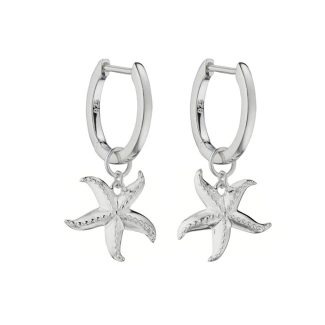 Silver Starfish Earrings